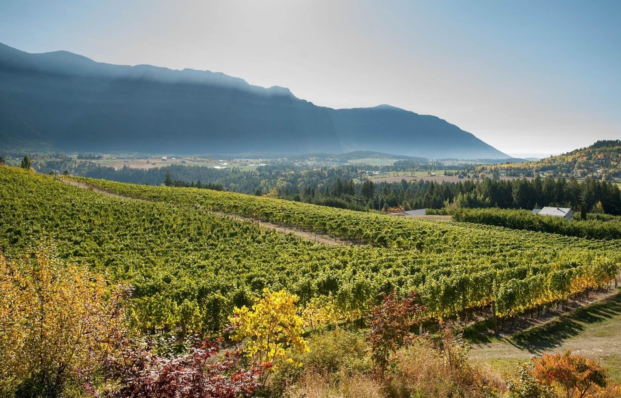 Okanagan Valley in British Columbia
