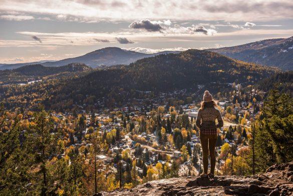 View from Kootenay Columbia Viewpoint
