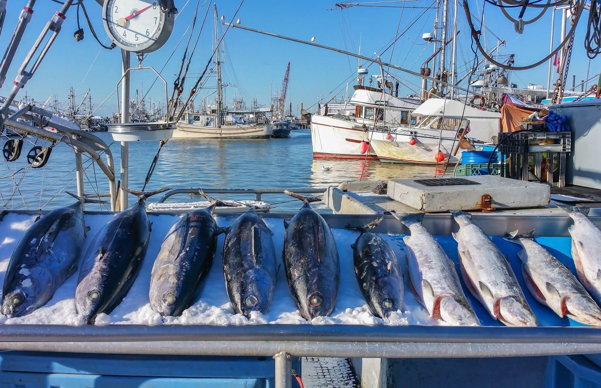 Fish market in Richmond, British Columbia