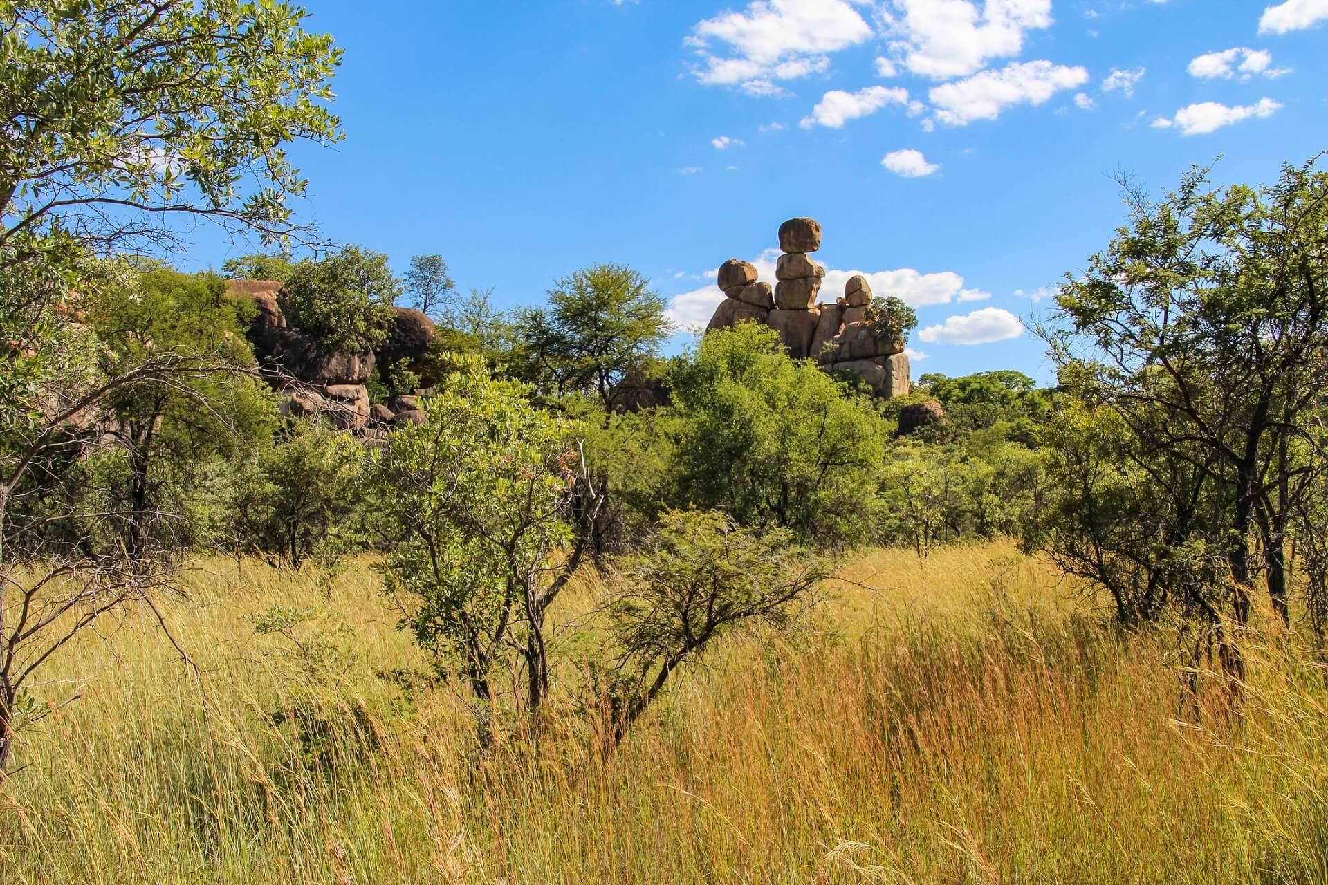 Steppe and rock formations in Matobo National Park, Zimbabwe.