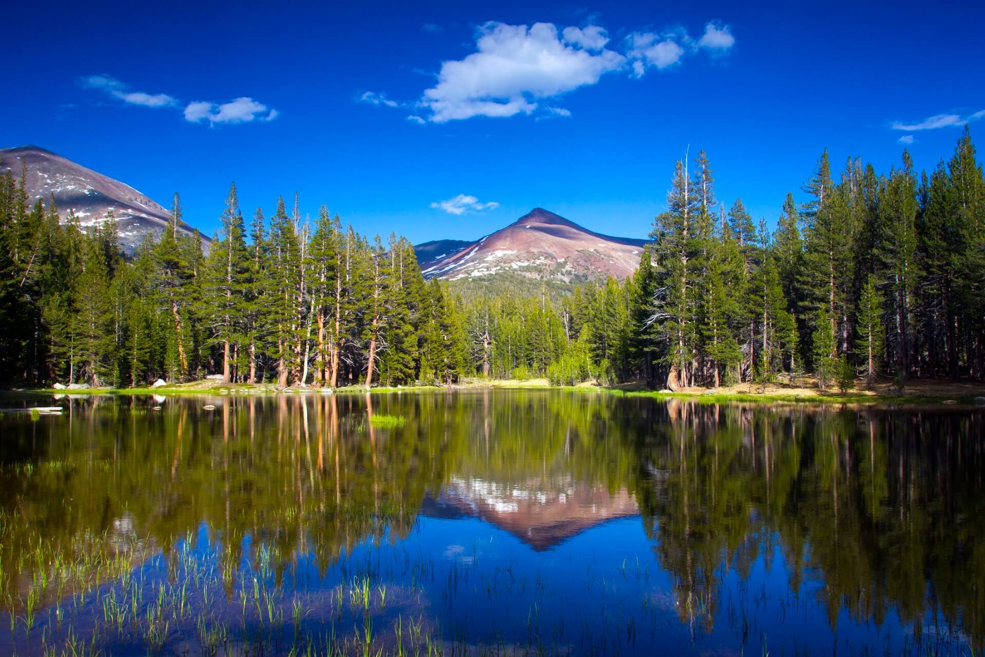 Clear mountain lake with reflection in the foreground, surrounded by tall green trees. In the background, snow-capped mountains rise under a deep blue sky with a few clouds.