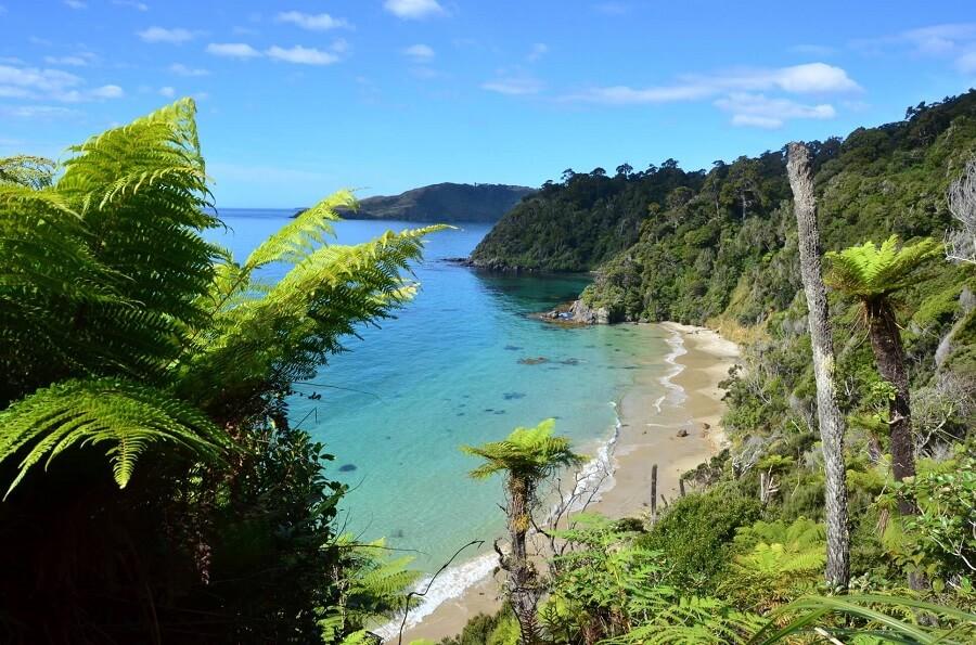 Stewart Island in New Zealand