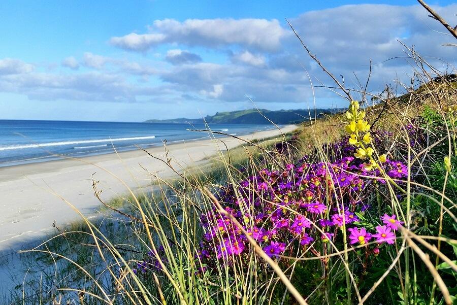Pakiri Beach, New Zealand