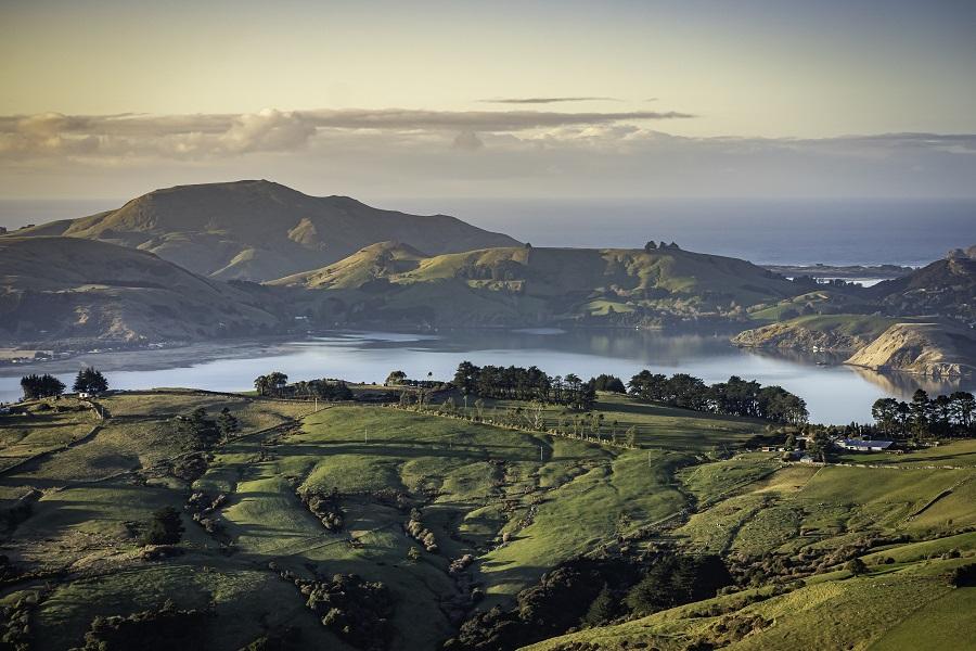 Dunedin, New Zealand