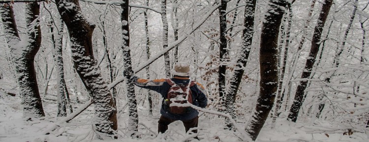 Romanian Winter Chase, Tampa Mountain, Brasov, Romania