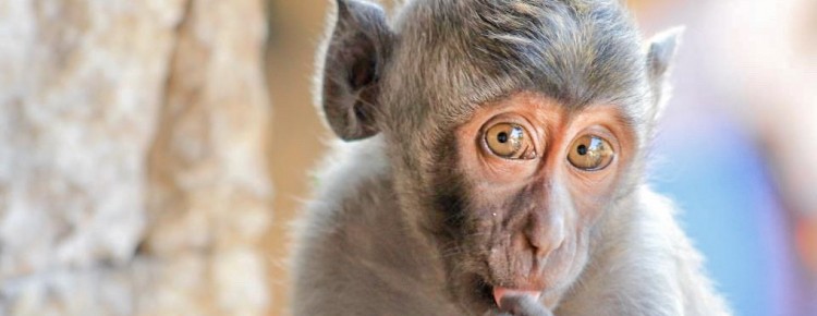Uluwatu Temple, Bali, Indonesia