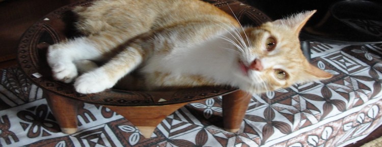Coconut Grove Beachfront Cottages, Fiji