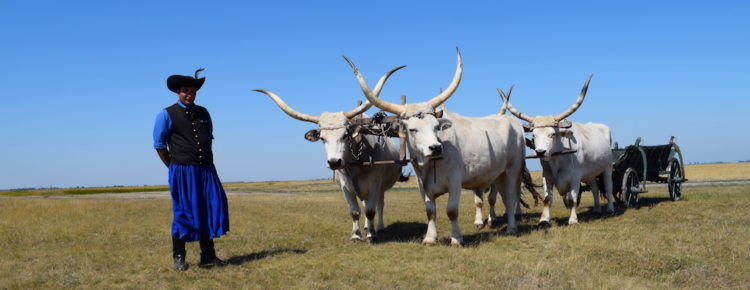 Hortobagy National Park, Hungary