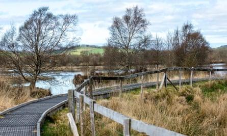 Cors Caron nature reserve near Tregaron