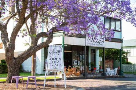 Jacaranda trees in bloom outside a shop on Prince Street, Grafton