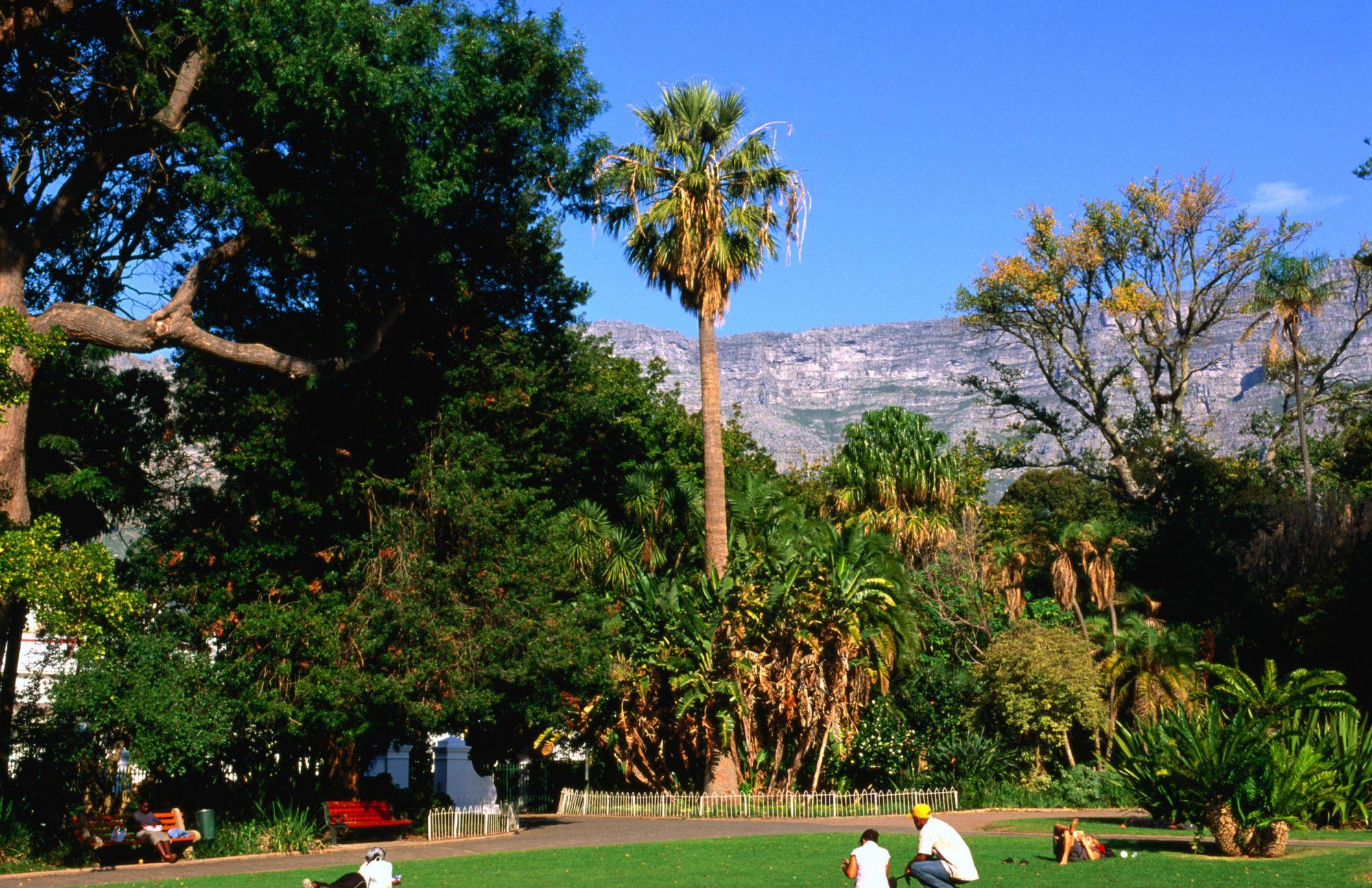 cosa fare a cape town, visitare il Company's Gardens
