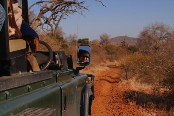 Safari in Sudafrica: 8 consigli per la prima volta
