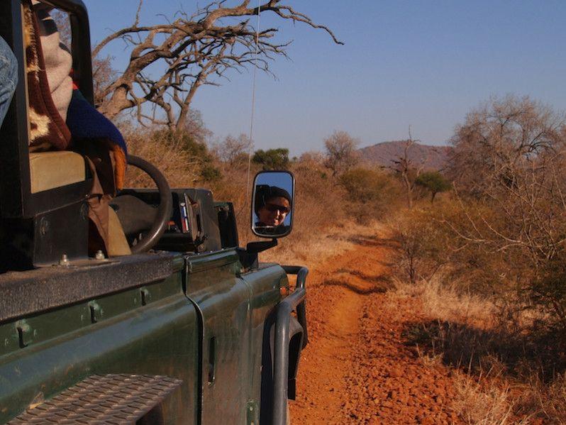 Safari in South Africa: 8 tips for the first time