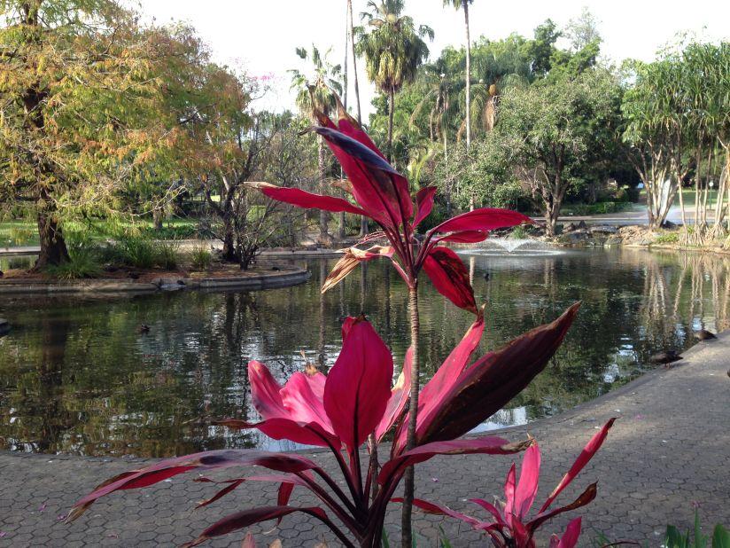 The City Botanic Gardens link government buildings and a Queensland University of Technology campus with the city proper. <br />Getting around on foot or bicycle is easy. 