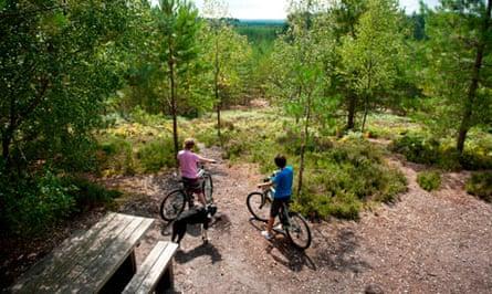 |Cycling at Moors Valley Country Park