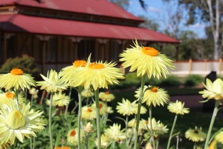 The function centre at Kholo Botanic Gardens