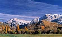 nz accommodation campervan2