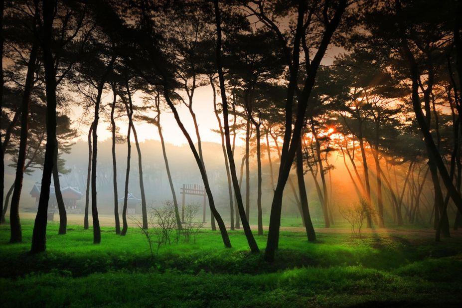 <strong>​Sareung: </strong>This UNESCO World Heritage site is actually the royal tomb of Queen Jeongsun (1440-1521) from the Joseon Dynasty. Located in Gyeonggi Province, access to the tomb area is restricted to those with 