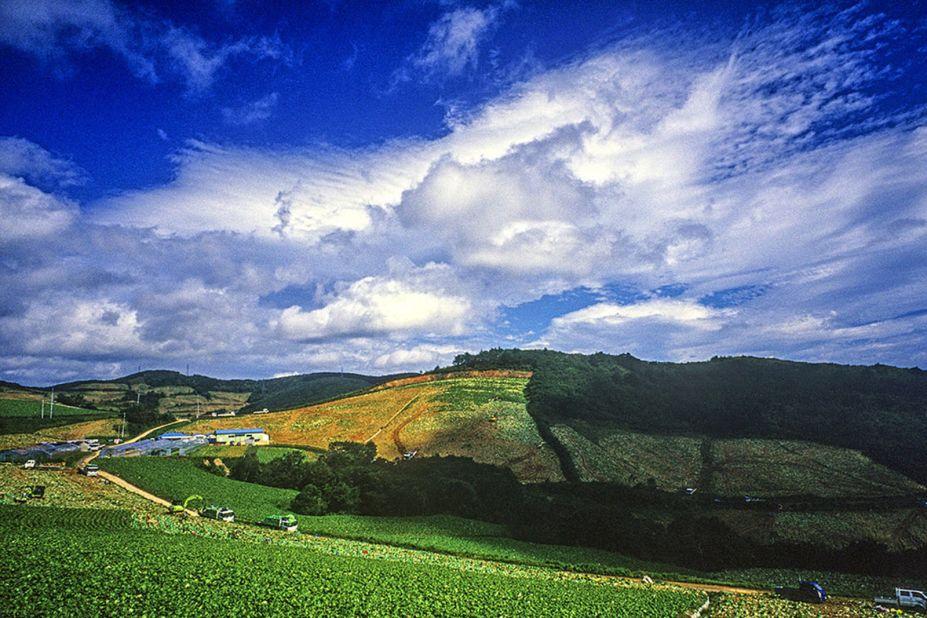 <strong>Gangneung Anbandeok-gil: </strong>Thanks to its close proximity to Seoul (approximately three hours by express bus), Gangneung in Gangwon Province is one of the most popular year-round destinations in the country for domestic tourists. The city is known for its mountains and beaches, a Confucian school, museums and more.