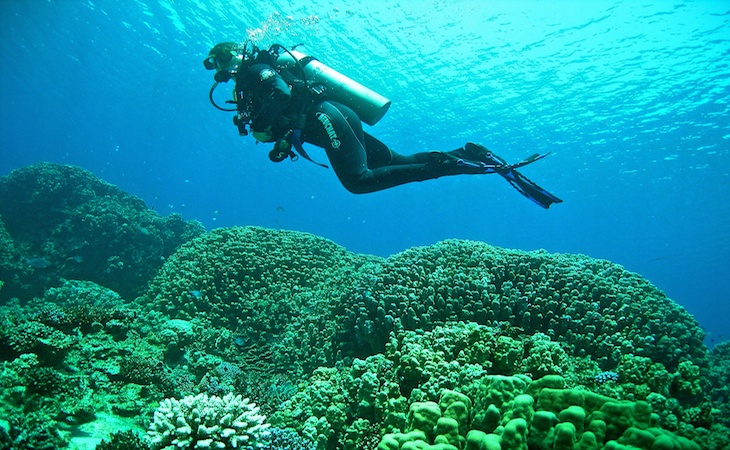 Jordan Interesting Facts