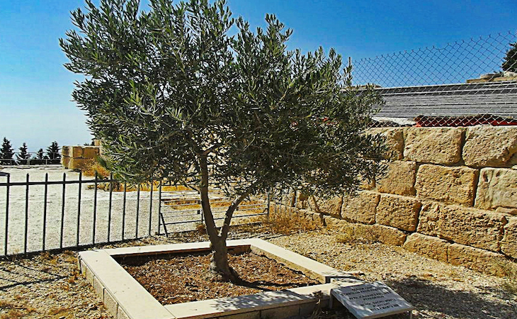 Jordan Interesting Facts