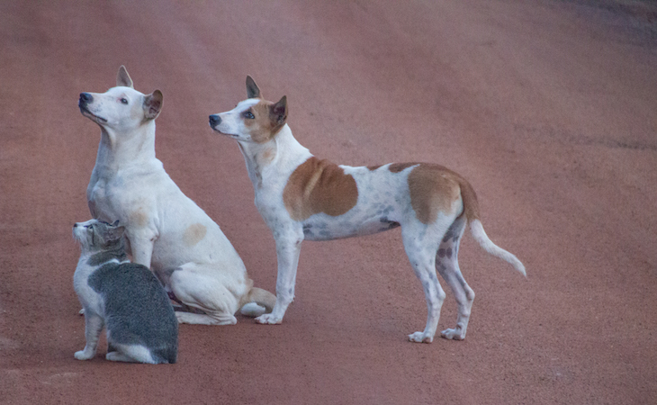 Interesting Facts Sri Lanka