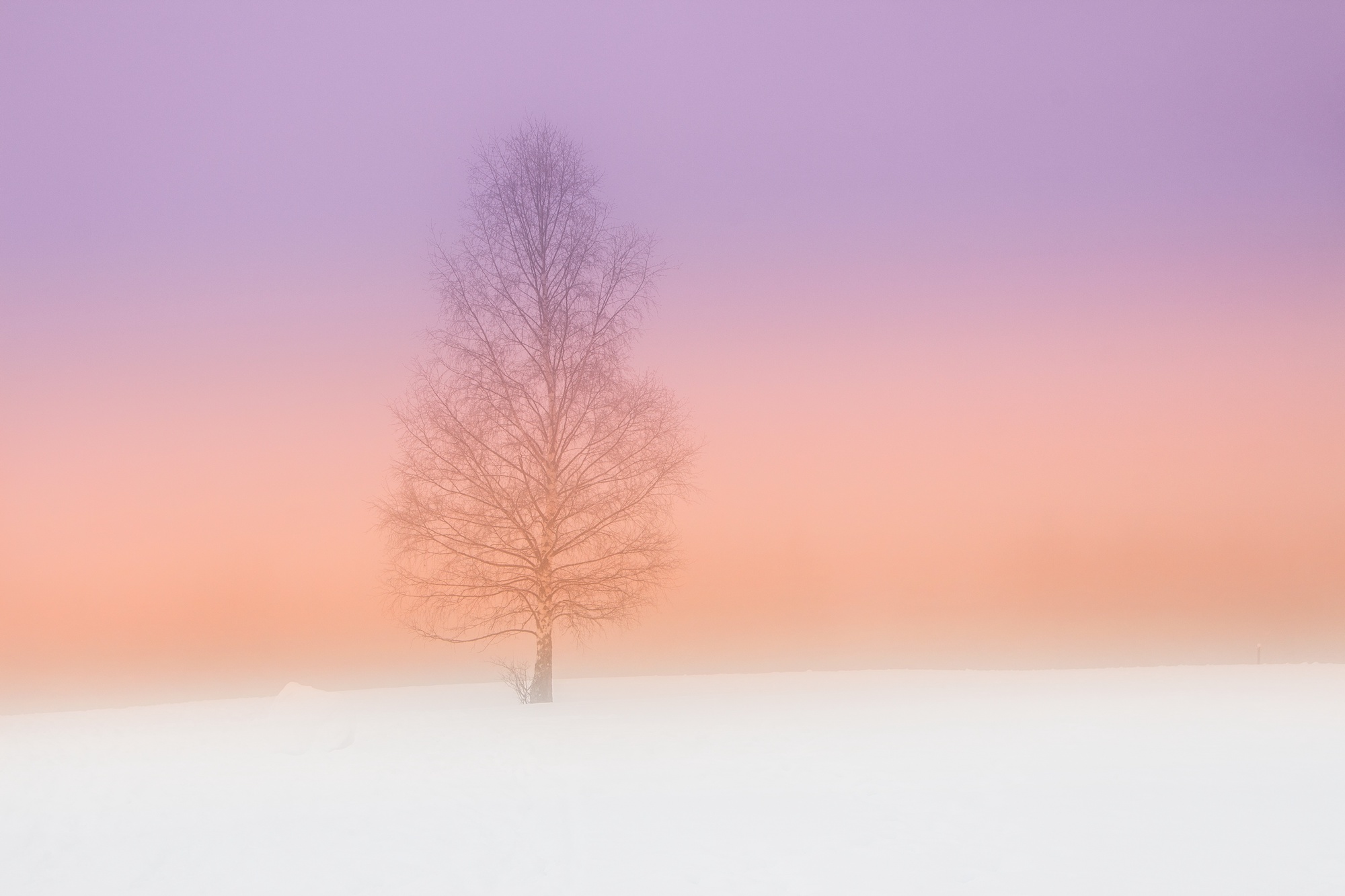 Winter in Trentino Dolomites Italy