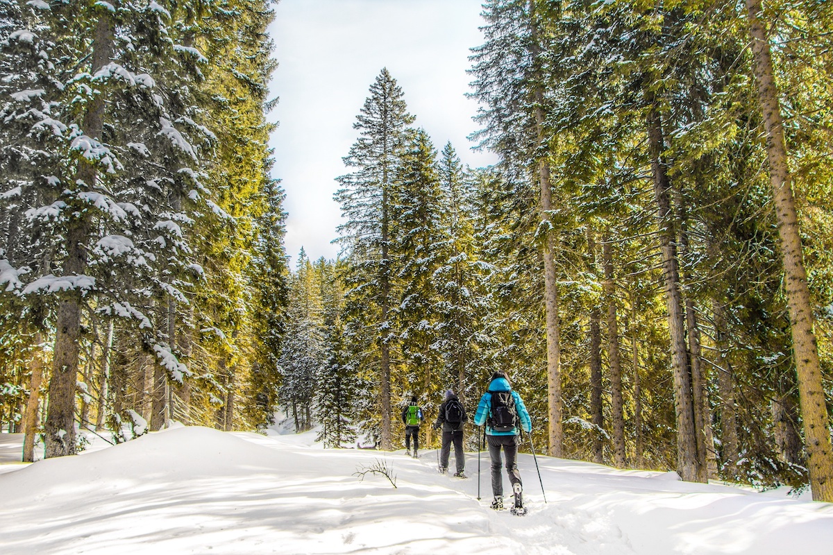 Winter in Trentino, Dolomites, Italy, Snowshoeing