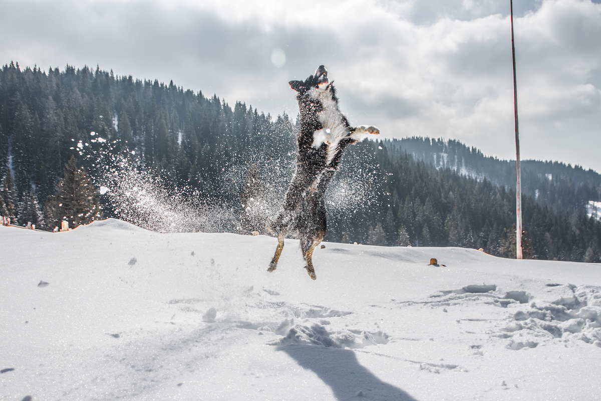Winter in Trentino, Dolomites, Italy