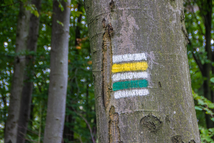 Magura National Park