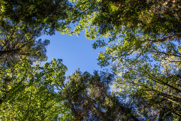 Magura National Park