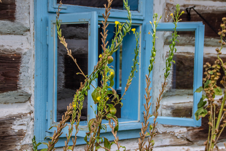 Zagroda Maziarska in Łosie