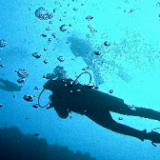 Scuba Diving Red Sea Affair